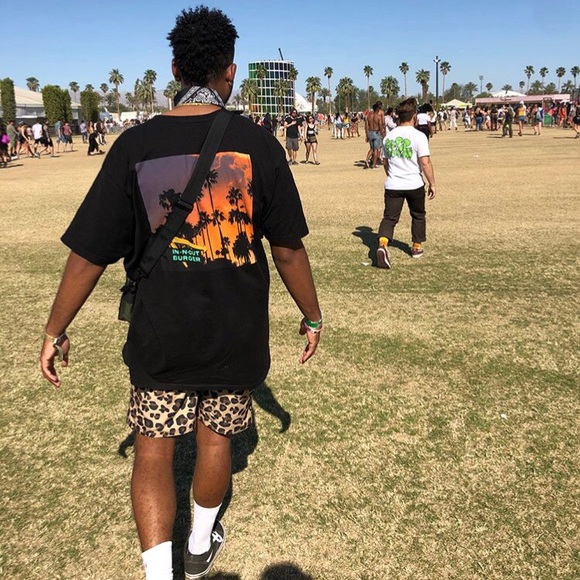 Meet your Posher, Braxton - Picture 1 of 1